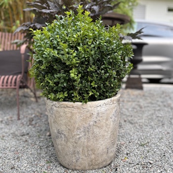 Kruka i gråbeige cement, två storlekar, Olsson Jensen