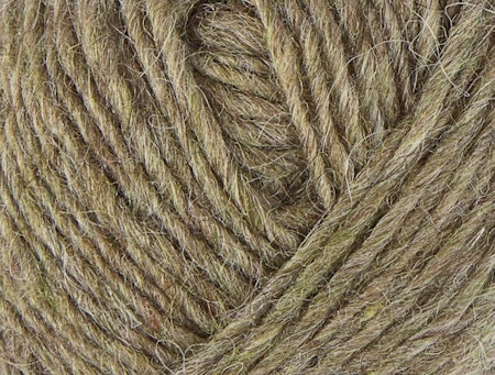 Lett-lopi - frostbite 1417