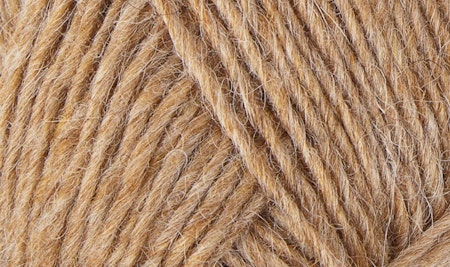 Lett-lopi - Barley 1419