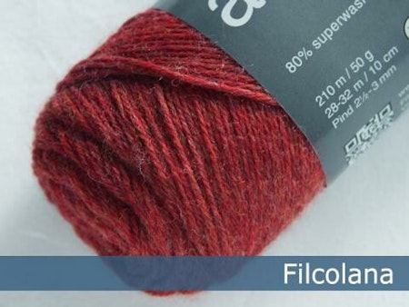 Arwetta-Classic-Chrystantemum 810