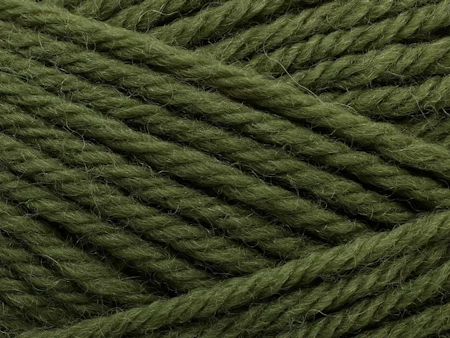 Peruvian highland wool-Thyme 221