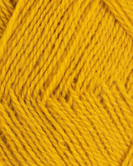 Finull-450-Mörk gul