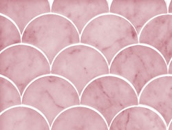 Fishscale Marble Rose