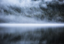 Scandinavian Nature - Dancing Fays