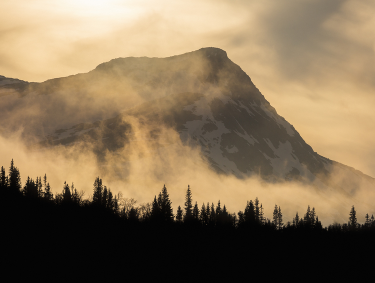 Scandinavian Nature - Molnigt berg