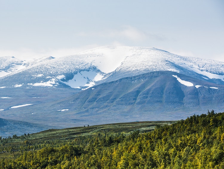 Scandinavian Nature - Sarekfjäll