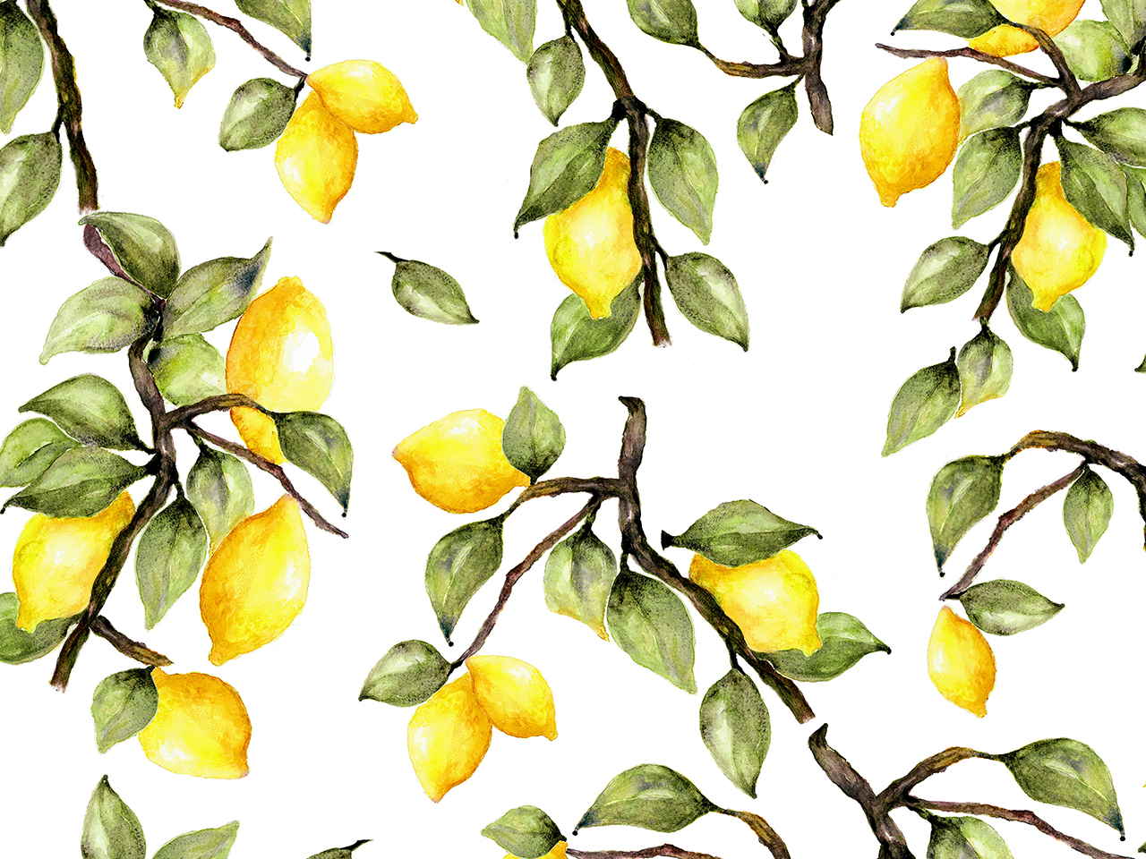 The gardener - Lemons