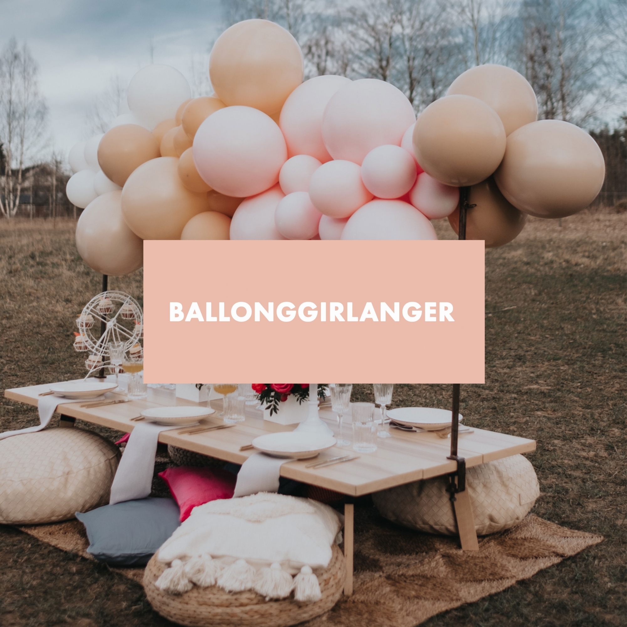 Ballonggirlanger - Theo & jag