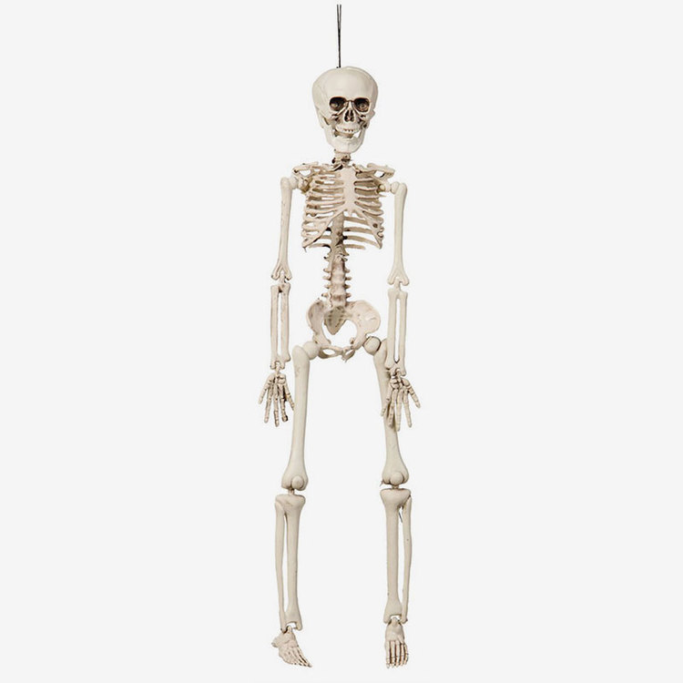 Hängande skelett