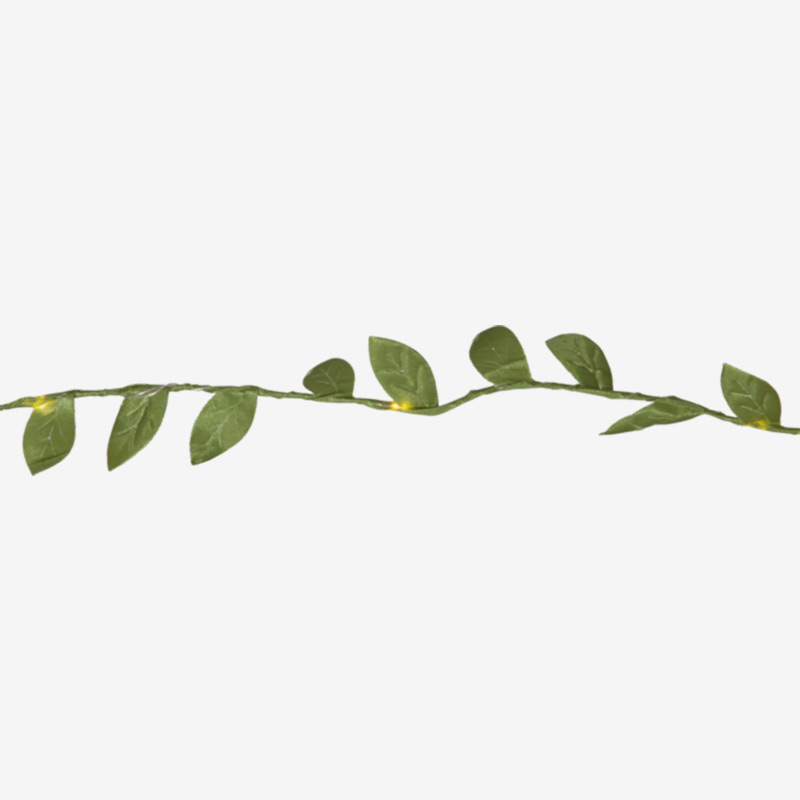 Ljusslinga - Leaf