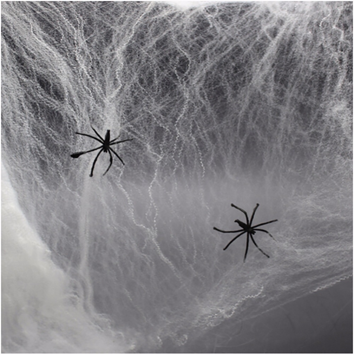 Spindelnät med spindlar