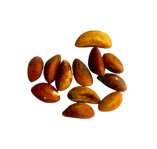 Ekologiska paranötter från Amazonas regnskog. Den bruna hinnan är smakrik och innehåller många nyttiga ämnen.