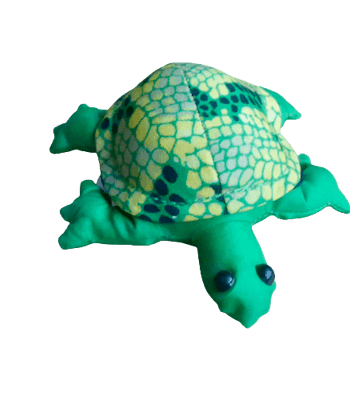 Sanddjur, liten sköldpadda, grön-gul