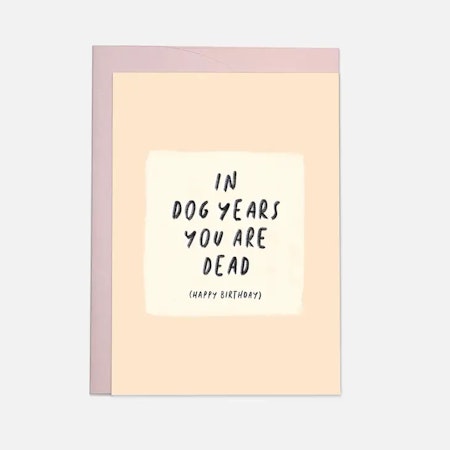 In dog years