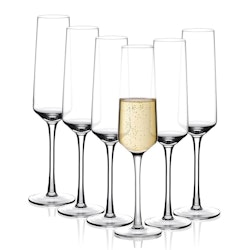 Champagneglas i 6-delar, 280ml kristall