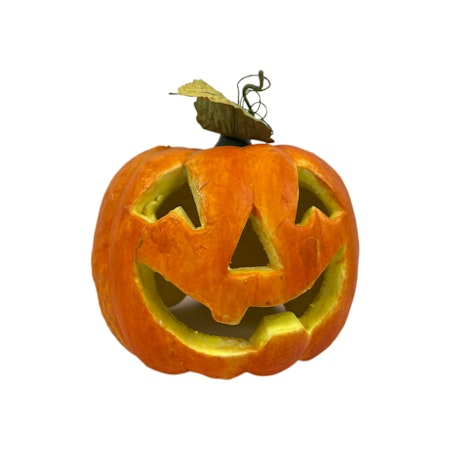 Pumpa Halloween