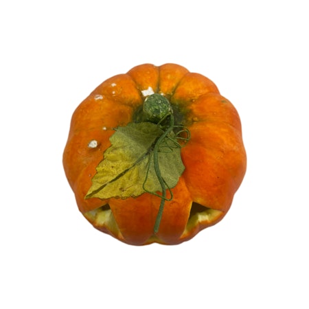 Pumpa Halloween