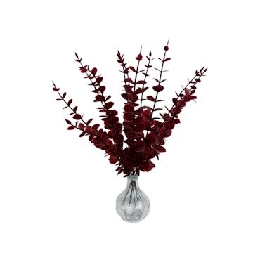 Bladkvistar Eukalyptus 12-pack