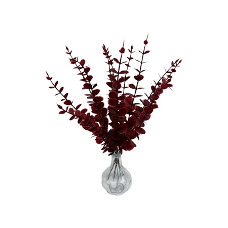 Bladkvistar Eukalyptus 12-pack