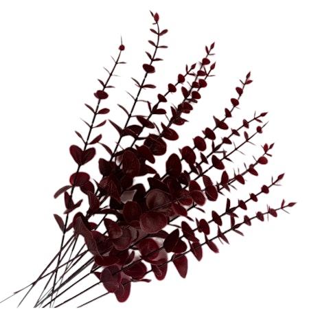 Bladkvistar Eukalyptus 12-pack