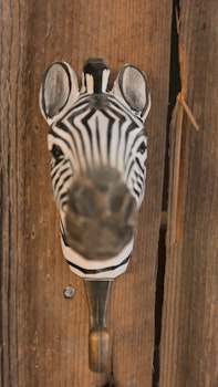 Krok "Zebra"
