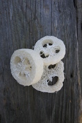 Luffagurka || Loofah