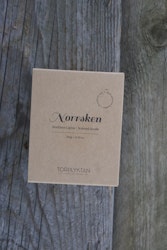 TORPLYKTAN || Doftljus Norrsken 310 g