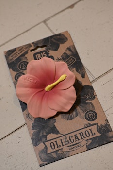 OLI & CAROL || TUGGIS Blomma