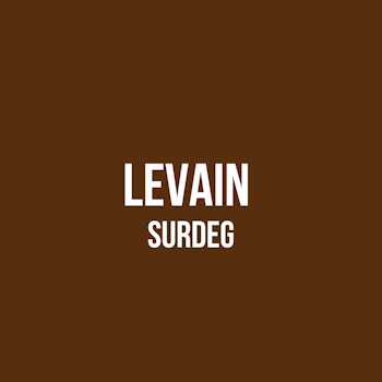 BRÖD || LEVAIN SURDEG