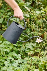 IB LAURSEN || Vattenkanna 2,3 L