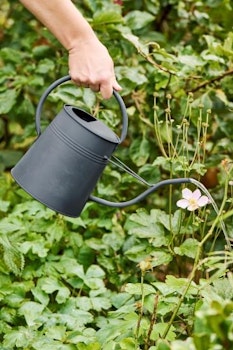 IB LAURSEN || Vattenkanna 2,3 L