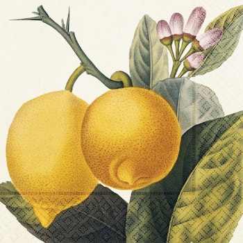 SKÖNA TING || Servetter, Citron