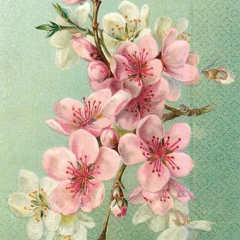 SKÖNA TING || Servetter, sommarblommor
