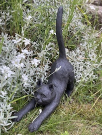 Katten Kjelle