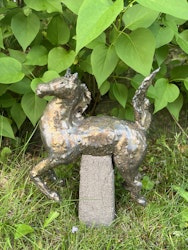 GaloppGustav