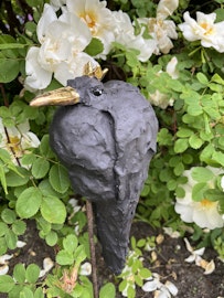 Fågel Kackel