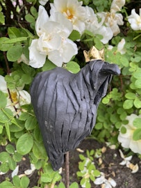 Fågel Sprätt
