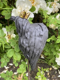 Fågel Sprätt