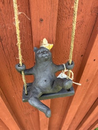 Katten Zorro på gunga