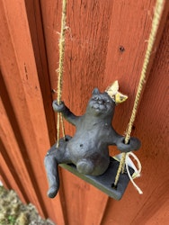 Katten Zorro på gunga