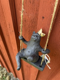 Katten Zorro på gunga