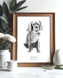 Poster Skiss Helkropp