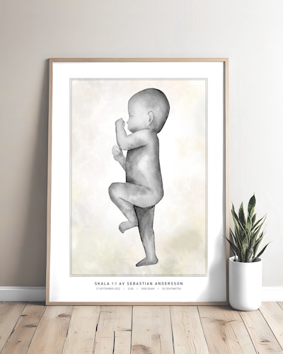Personlig födelsetavla, skala 1:1, 50x70 cm