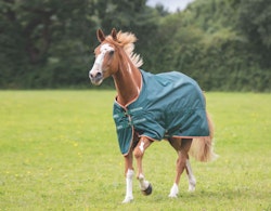 Shires regntäcke 0 gr
