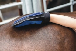 HG Grooming handske