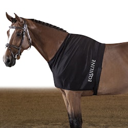 Equiline bogskydd