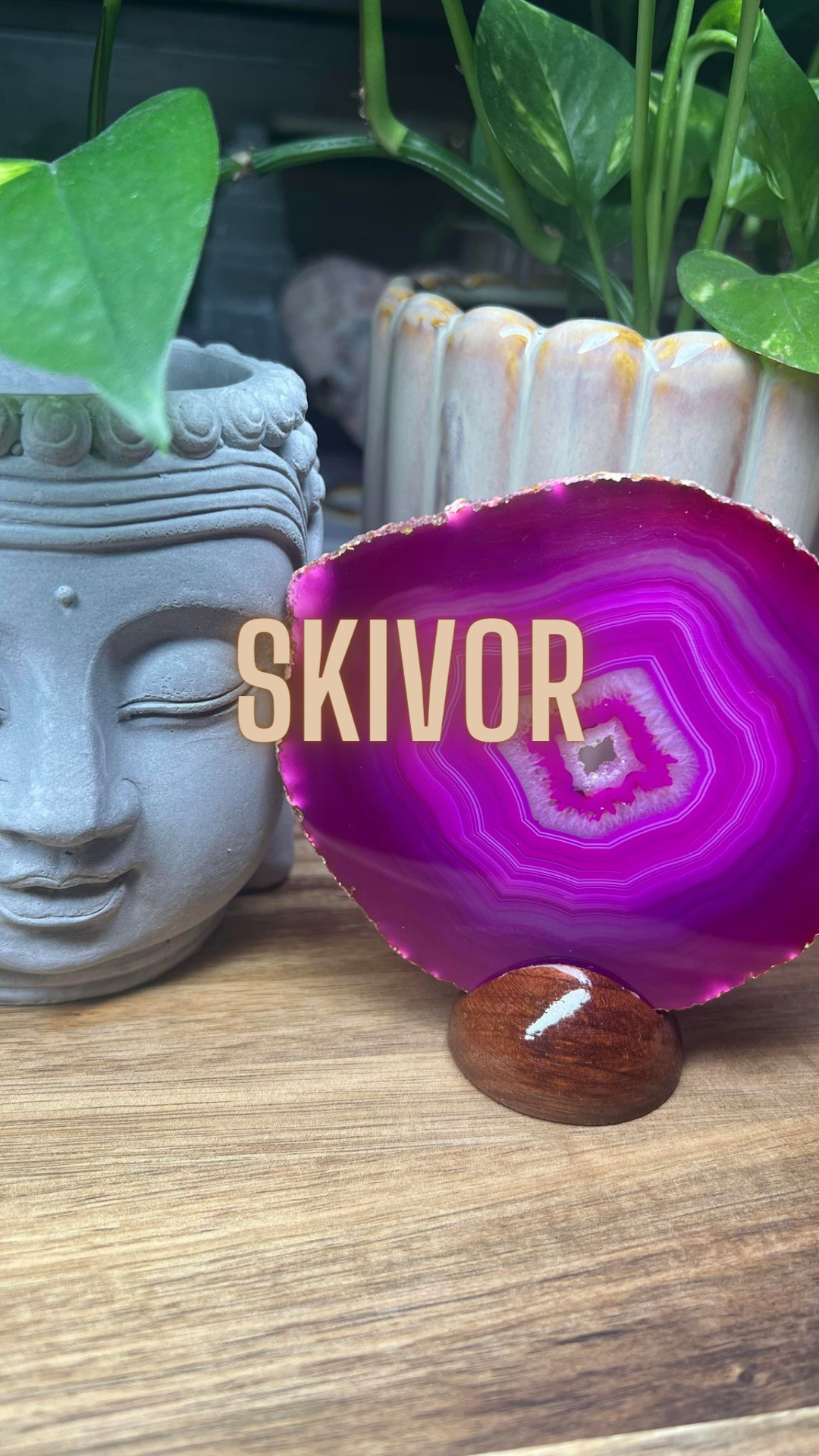 Holisticcare Kristaller & Salong Artistas > Skivor