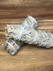 Salvia Blanca