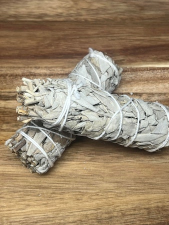 Salvia Blanca