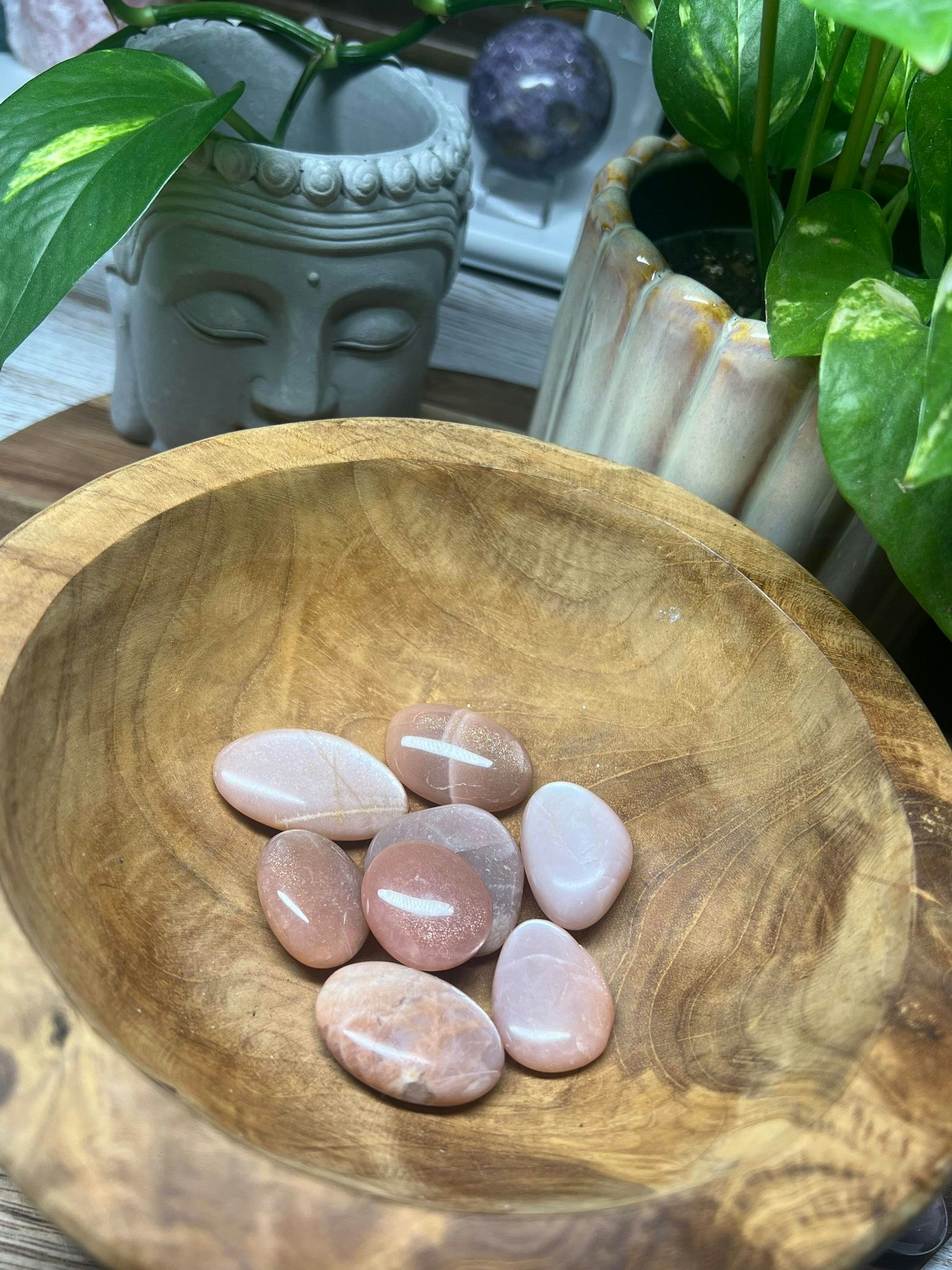 Peach Månsten (minipalm)